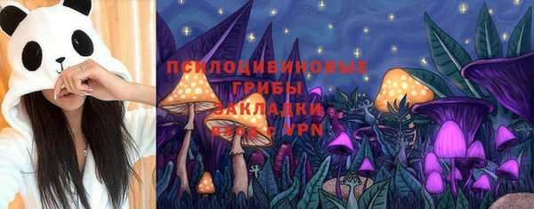 ПСИЛОЦИБИНОВЫЕ ГРИБЫ Михайловка