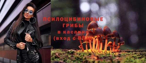 тгк Абинск